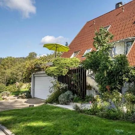 Panorama Apartman Bühl